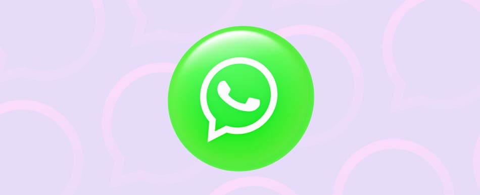 WhatsApp marketing 101: your 2024 guide [+10 WhatsApp campaign examples] blog